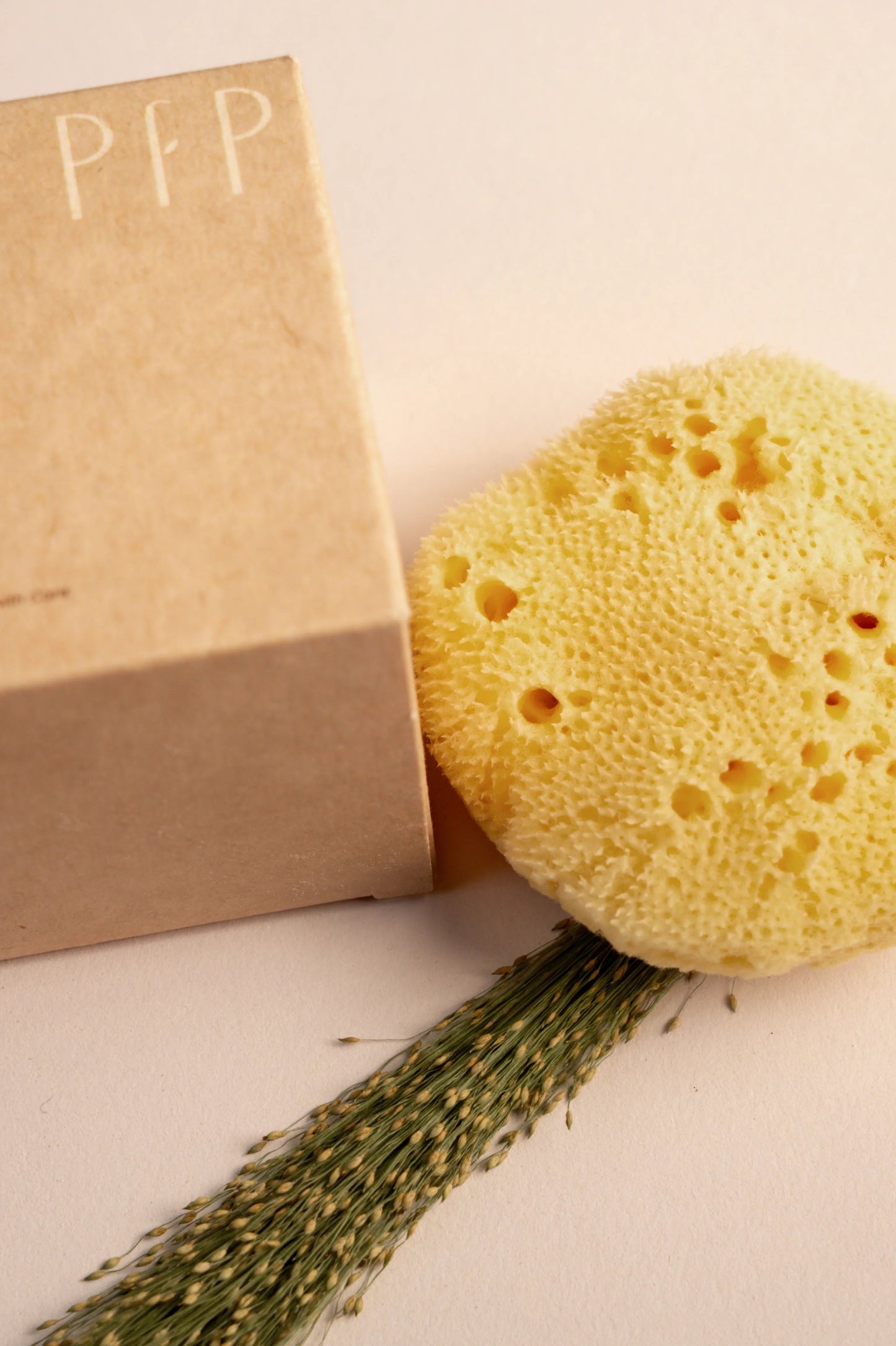 Greek Fine Silk Sea Sponge