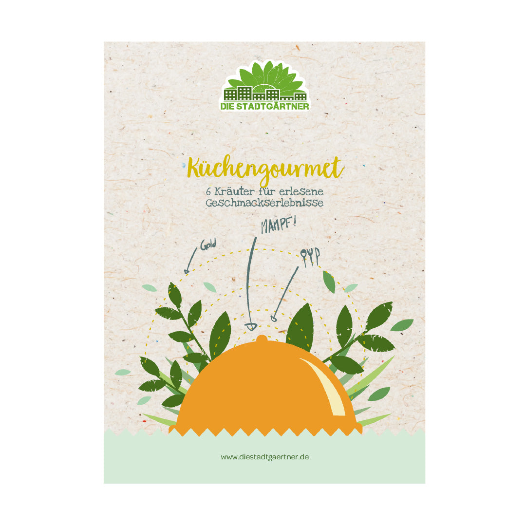 Kräuterkiste "Küchengourmet"