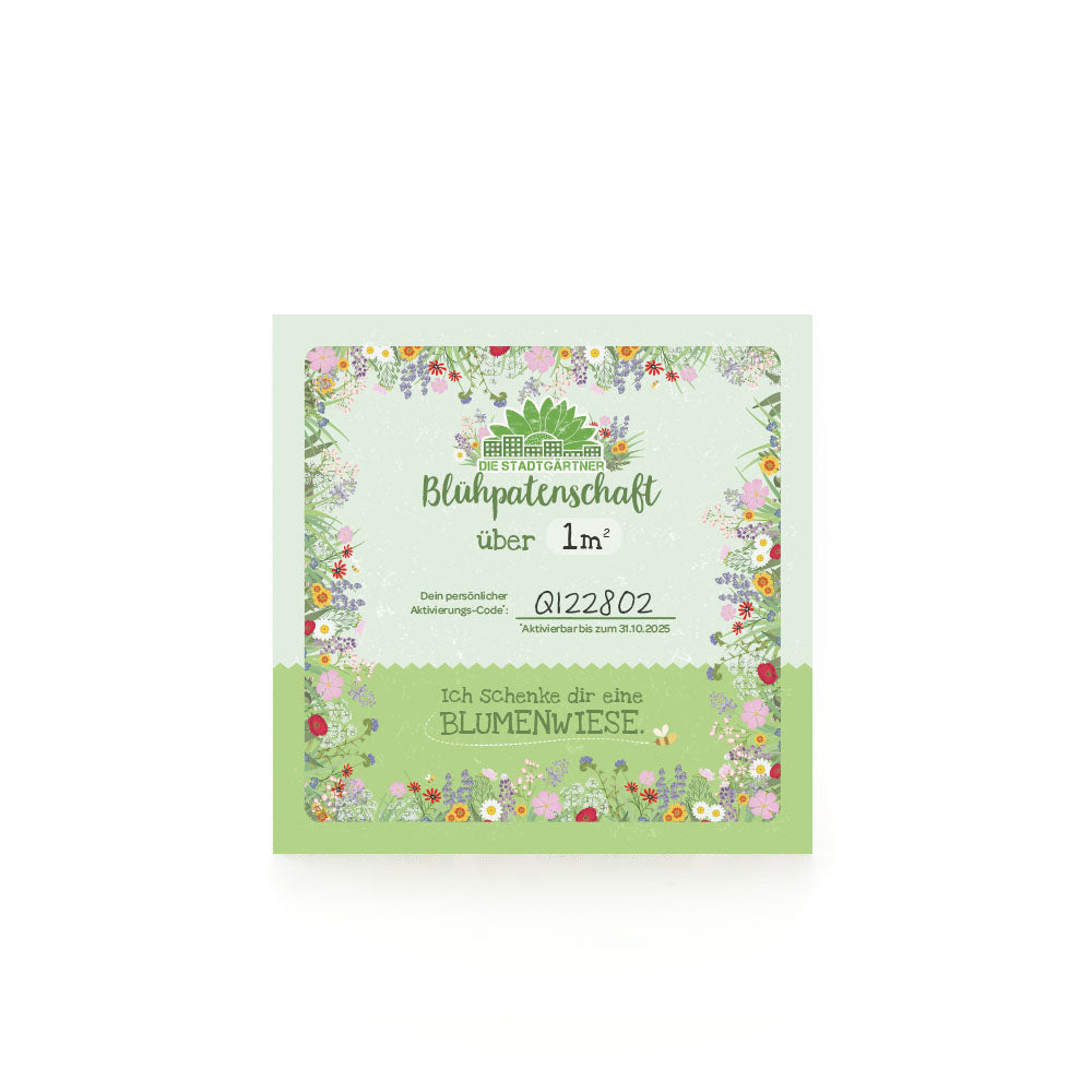Blühpatenschaft für 1 m² Blumenwiese