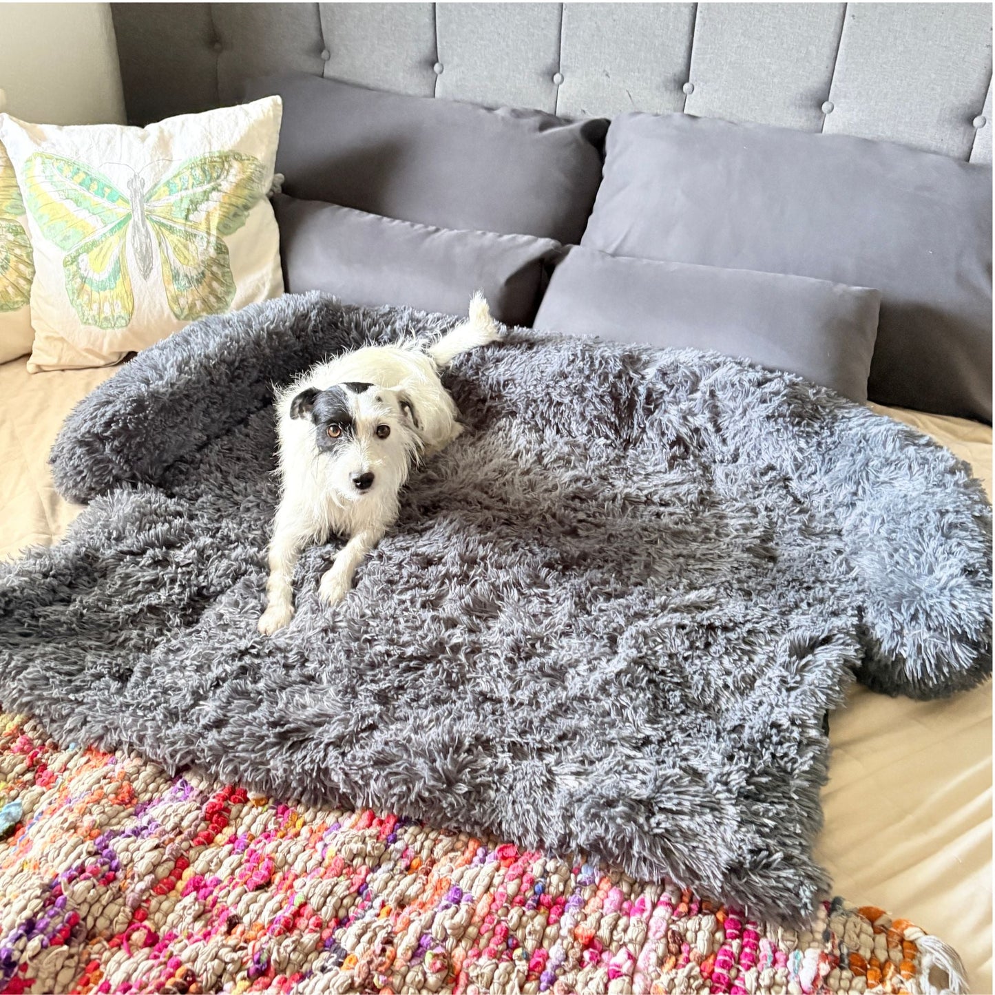 Hundebett "Balu" kuschelig weich & waschbar – mit hohem Rand für Auto & Sofa