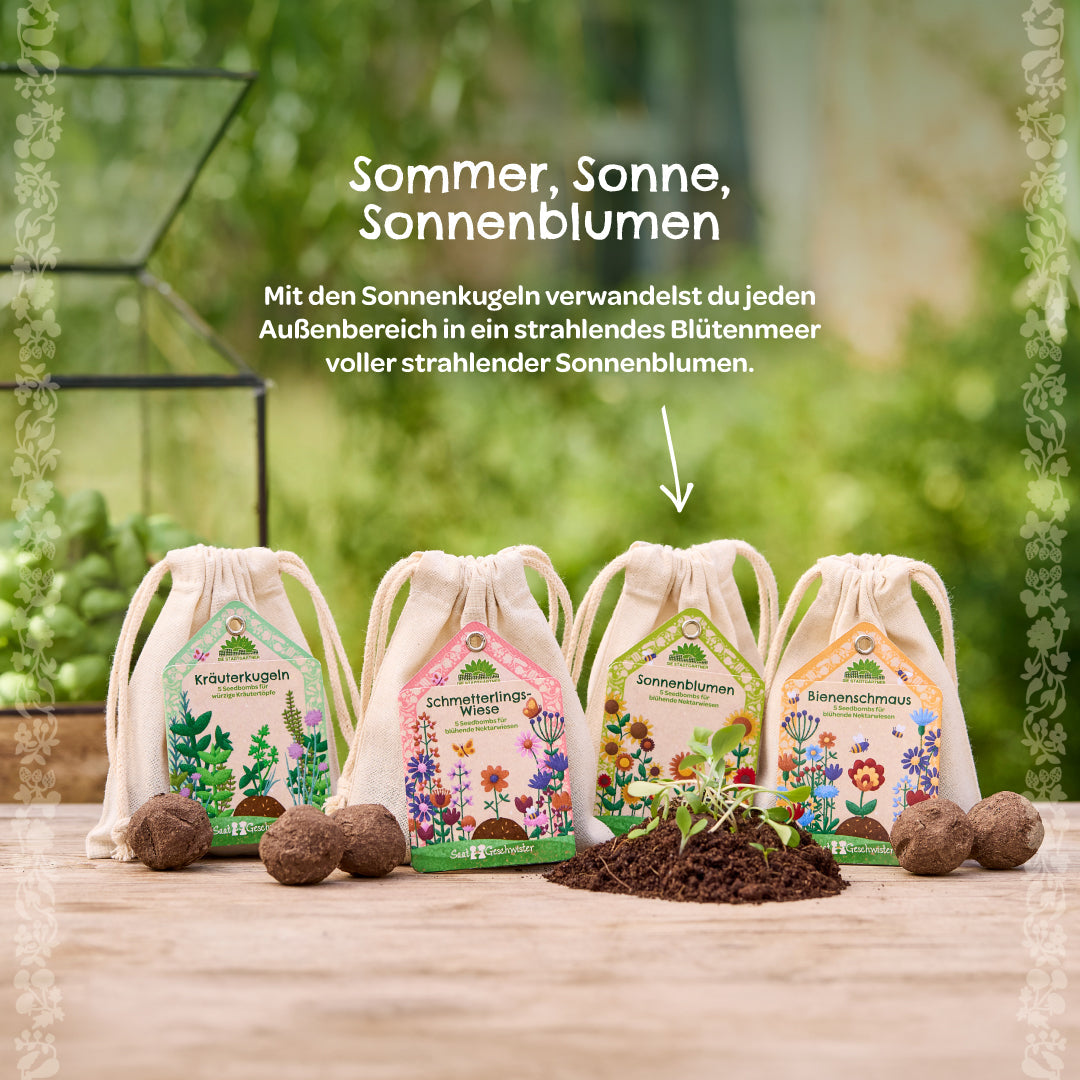 Saatkugeln "Sonnenblumen"