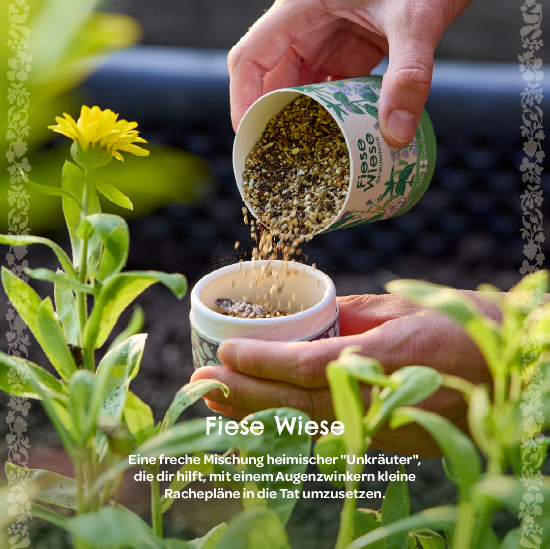Streuwiese "Fiese Wiese"