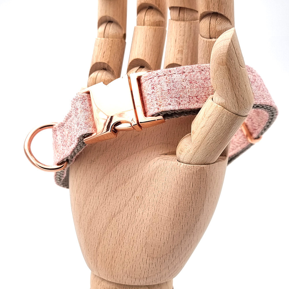 Süßes Hundehalsband mit Namen, graviert auf Schnalle