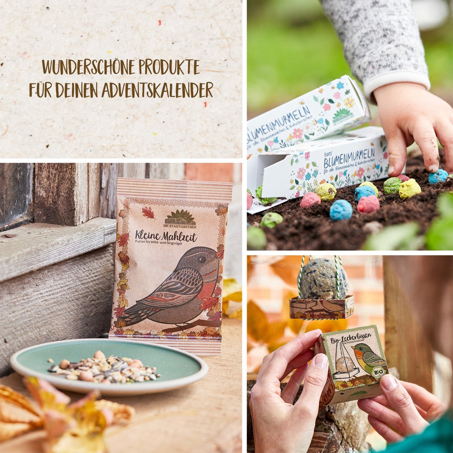 6er Set für deinen Adventskalender