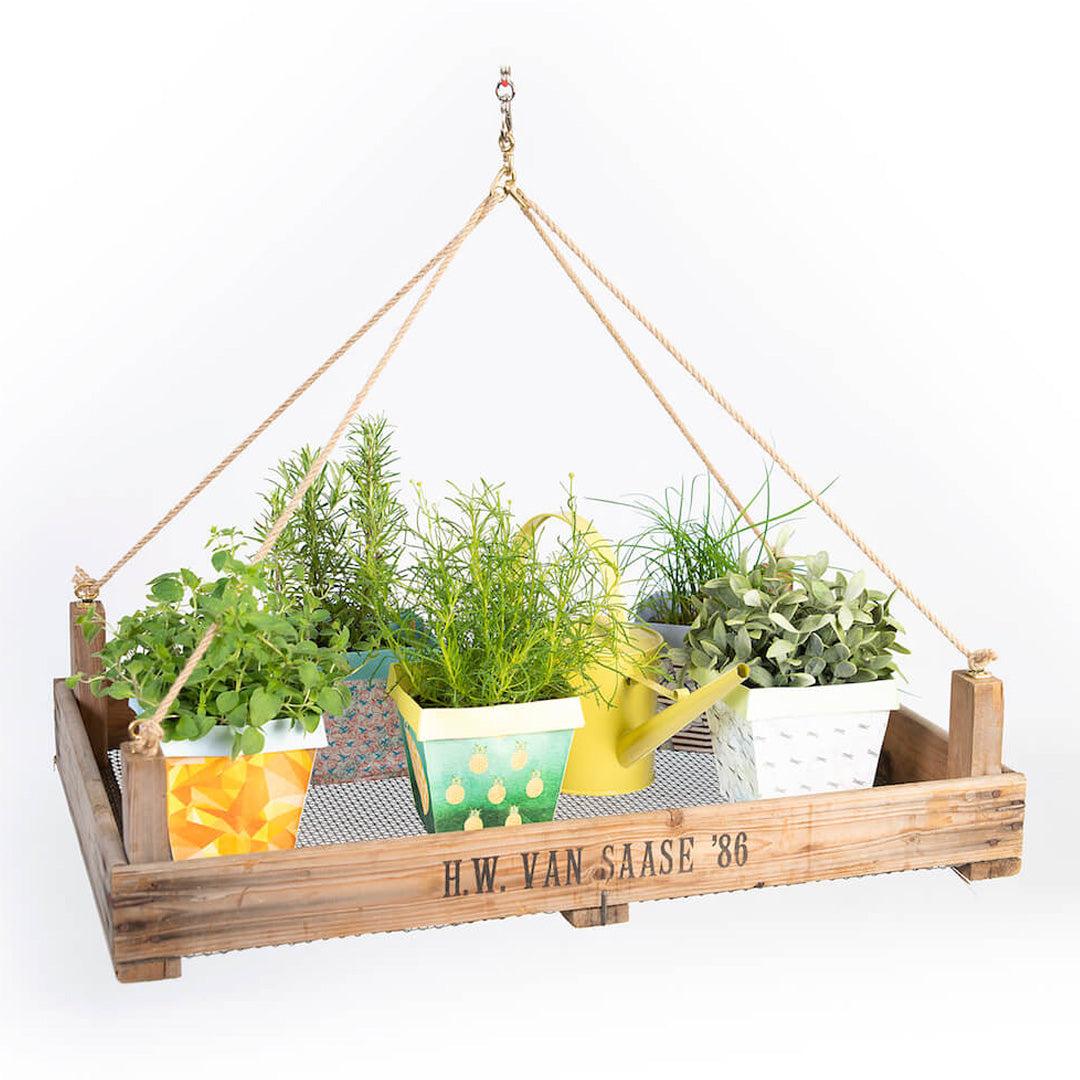 Hängeampel aus Zwiebelsieb