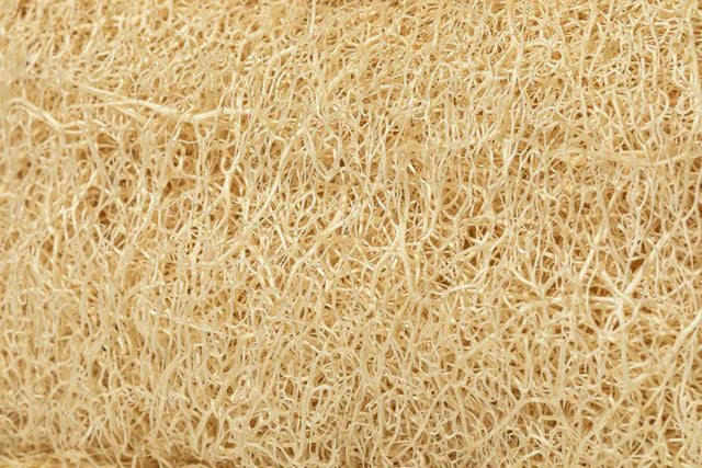Hopery - Luffa Spülschwamm