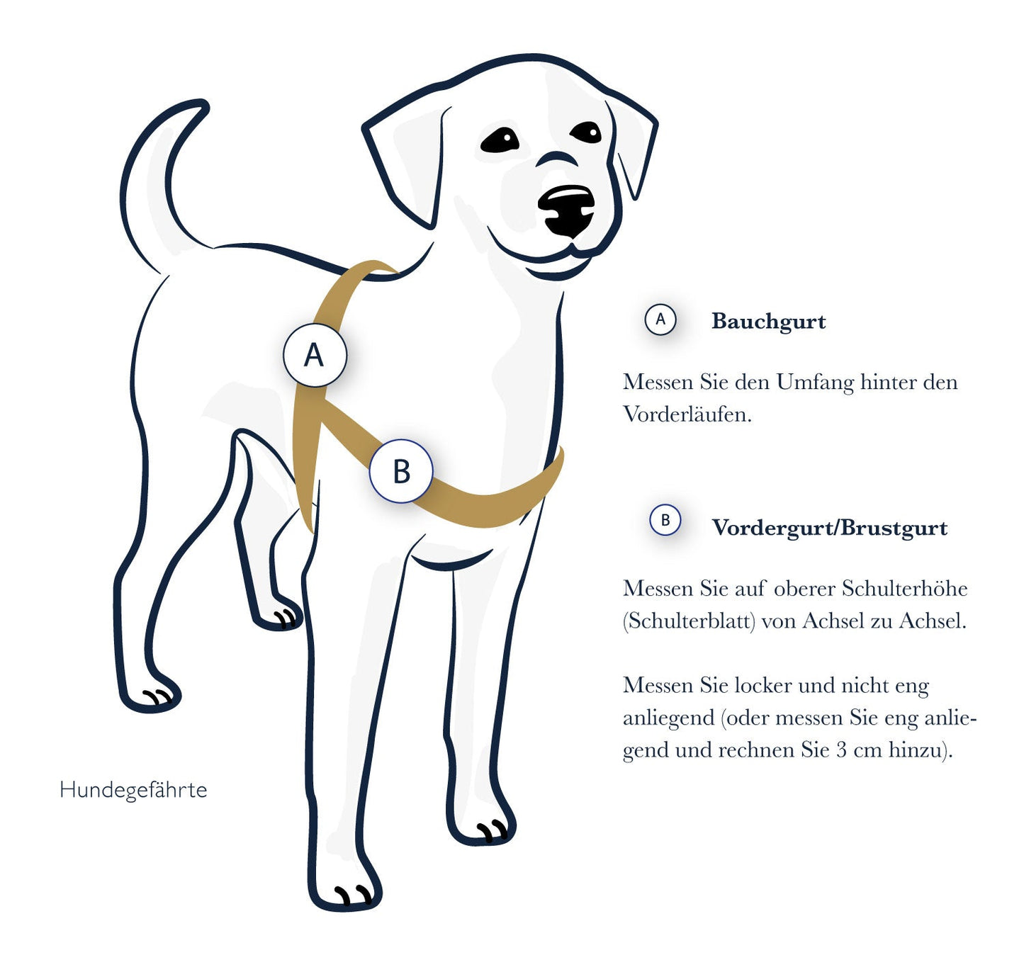 Anti-Stress-Geschirr STURMFREI®, Größe M