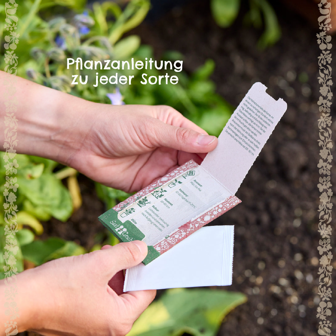 BIO-Saatgut Schnittlauch