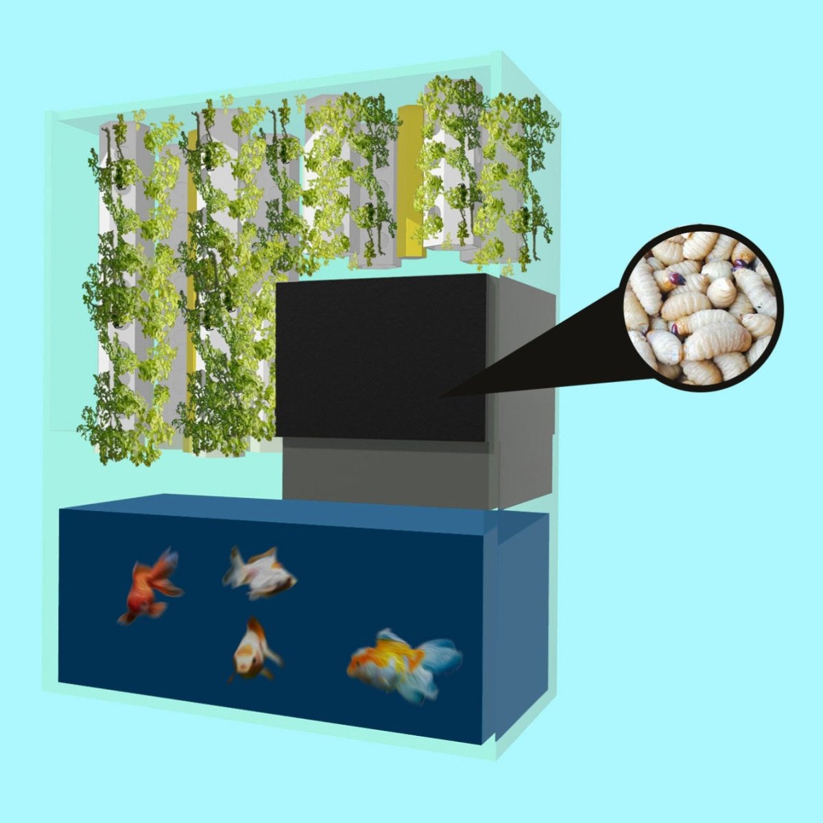 Organic Food Waste Recycler - Entropy Generator - Unimother