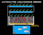 DIY Aquaponics System Automated At Home Step-by-Step Guide - Unimother