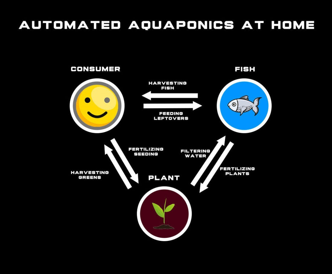 Aquaponics Explained + Cost Analysis DIY Automated Home System - Unimother