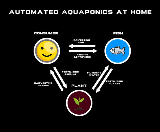 Aquaponics Explained + Cost Analysis DIY Automated Home System - Unimother