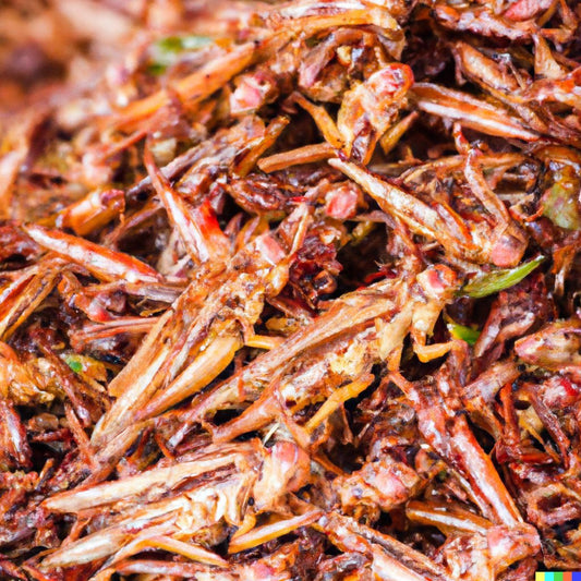 Can Insect Protein Improve Pet Health? Exploring the Benefits of Insect-Based Diets - Unimother