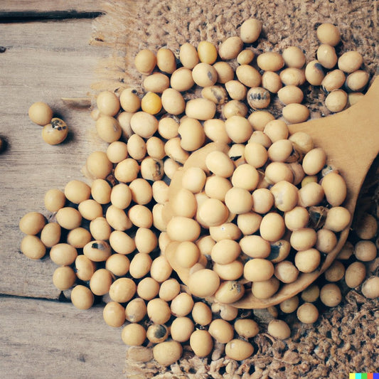 The Impact of Soy on Our Hormone System - Unimother