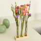 Floriëtte - Trockenblumen - Geschenkbox MIT VASEN, Rosa