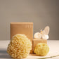 Natural Sea Sponge Set | Honeycomb Body & Silk Facial Sponges