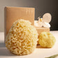 Natural Sea Sponge Set | Honeycomb Body & Silk Facial Sponges