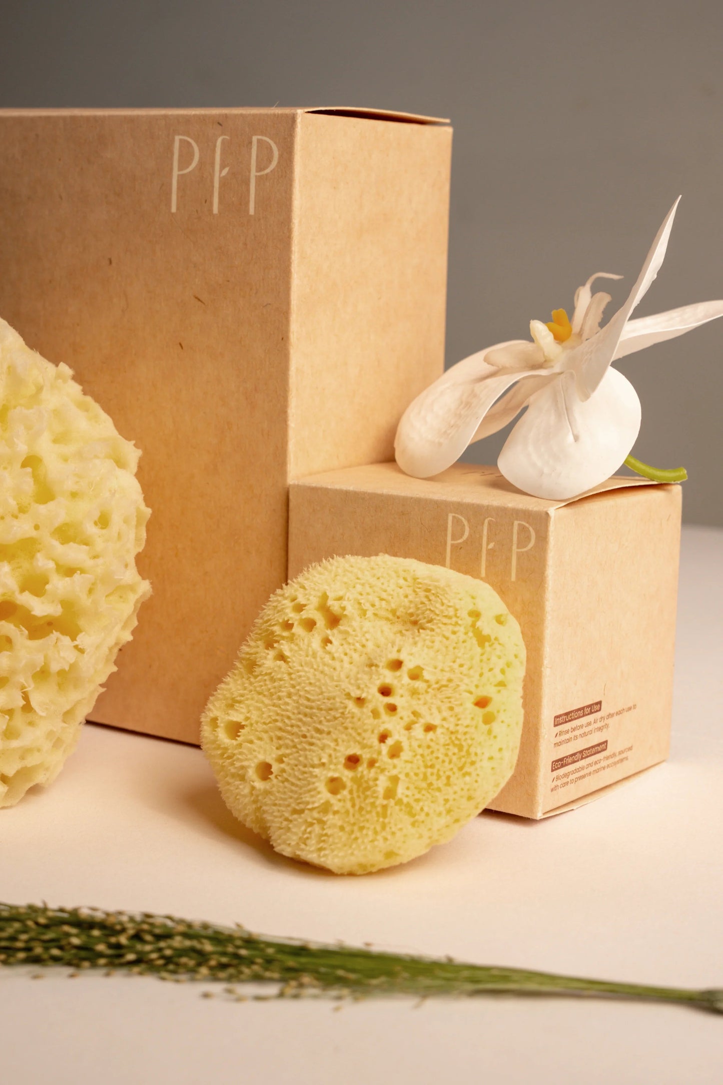 Natural Sea Sponge Set | Honeycomb Body & Silk Facial Sponges