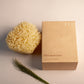 Greek Honeycomb Sea Sponge