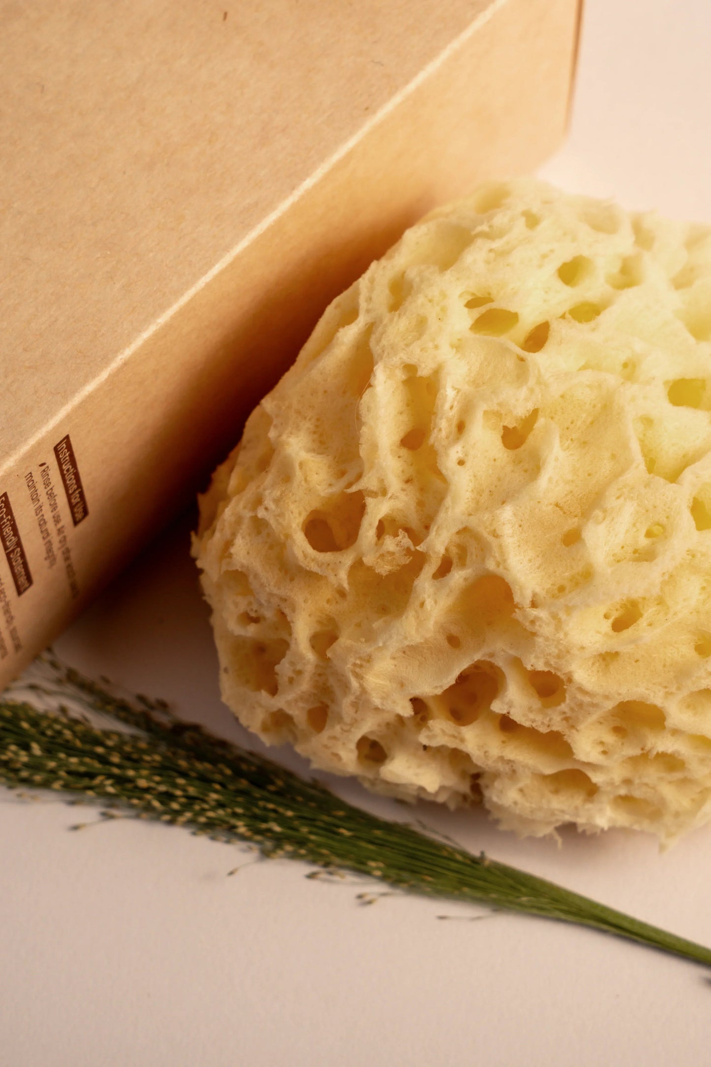 Greek Honeycomb Sea Sponge