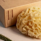Greek Honeycomb Sea Sponge