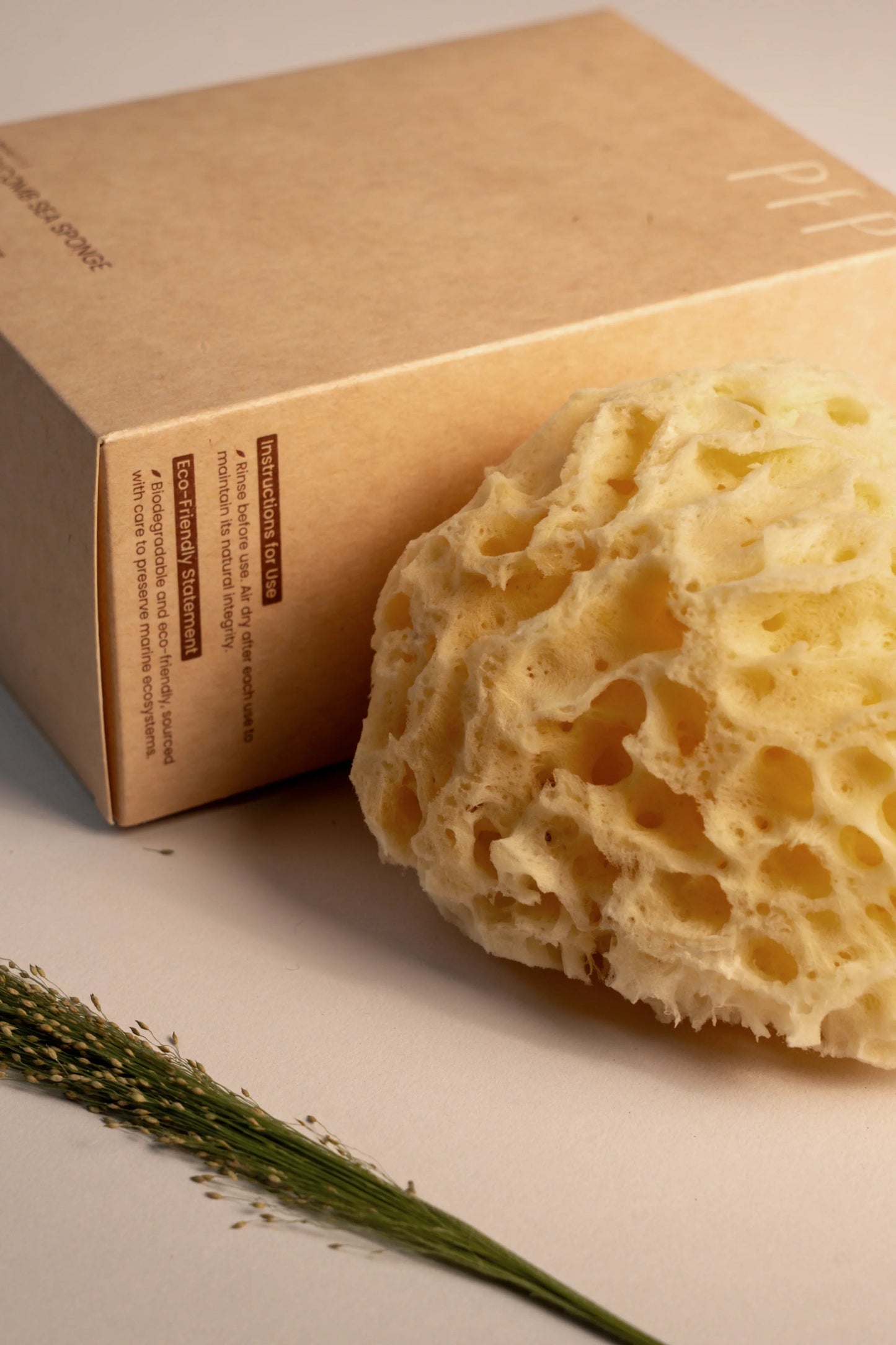 Greek Honeycomb Sea Sponge