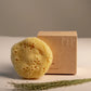 Greek Fine Silk Sea Sponge