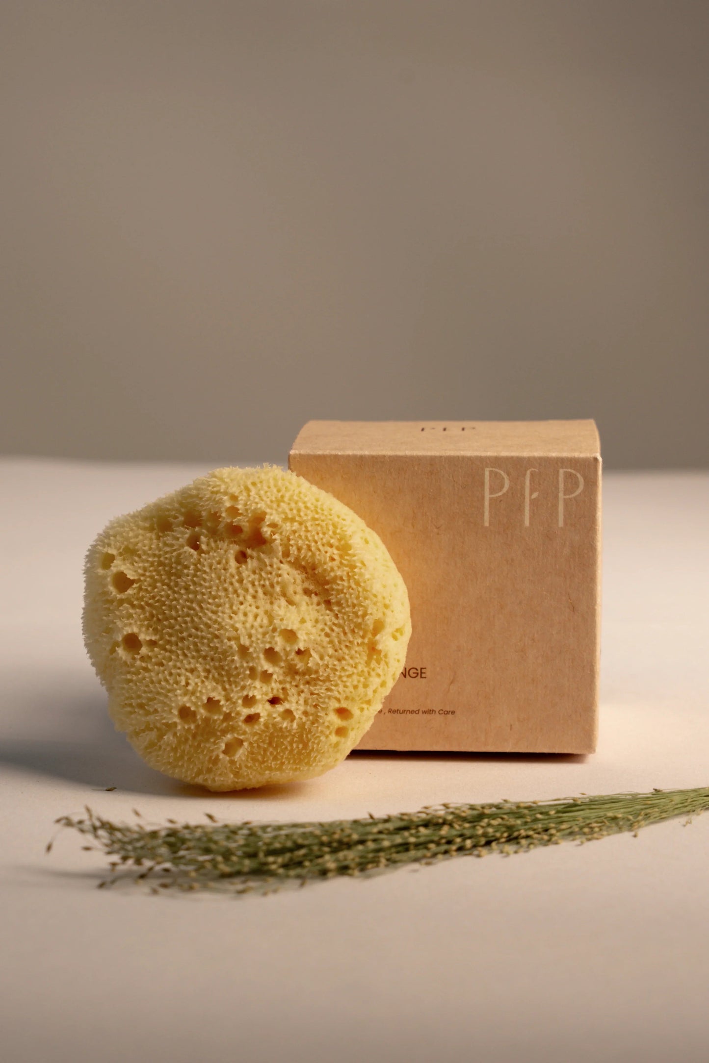 Greek Fine Silk Sea Sponge