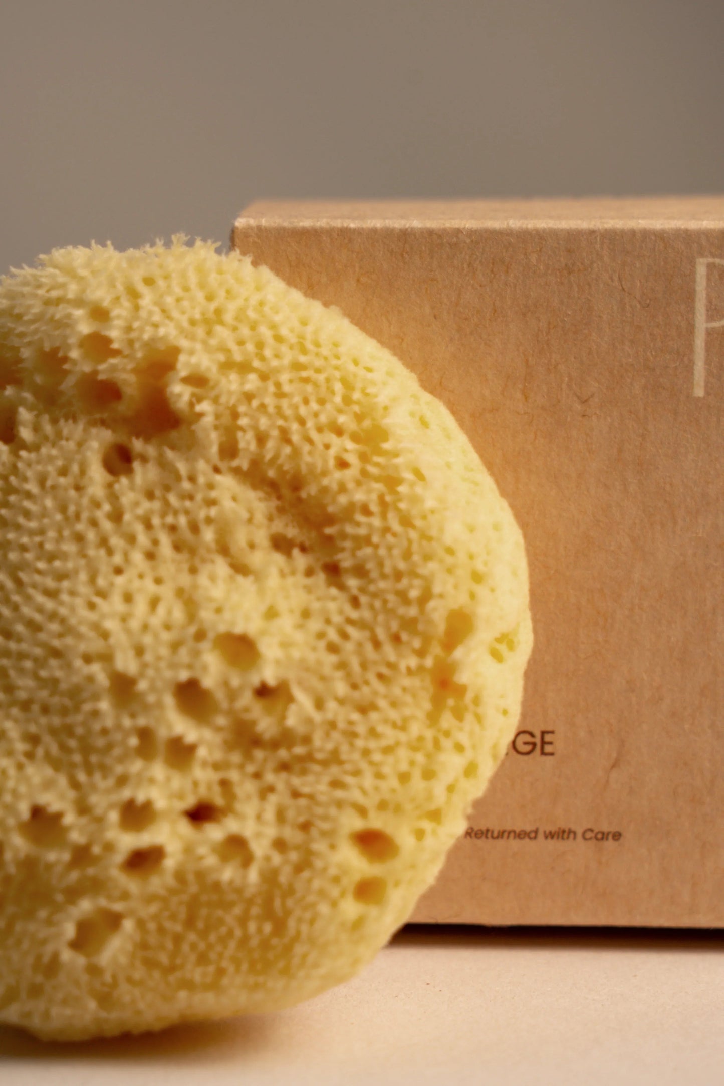 Greek Fine Silk Sea Sponge