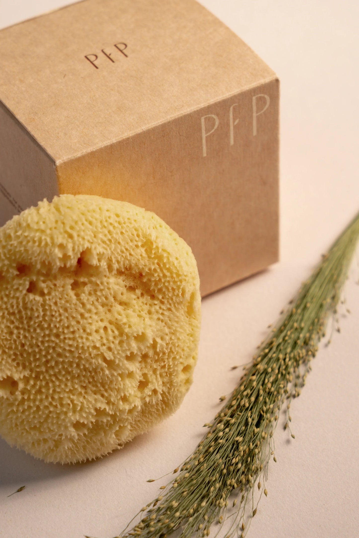 Greek Fine Silk Sea Sponge
