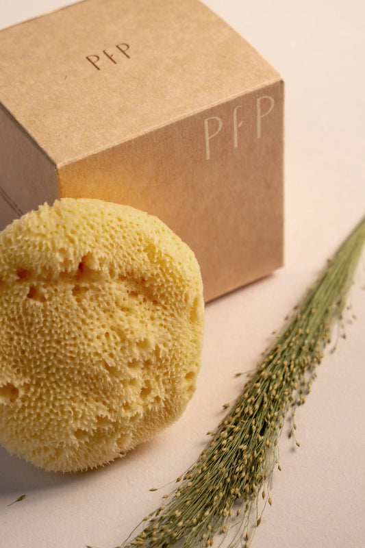 Greek Fine Silk Sea Sponge