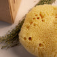 Greek Fine Silk Sea Sponge