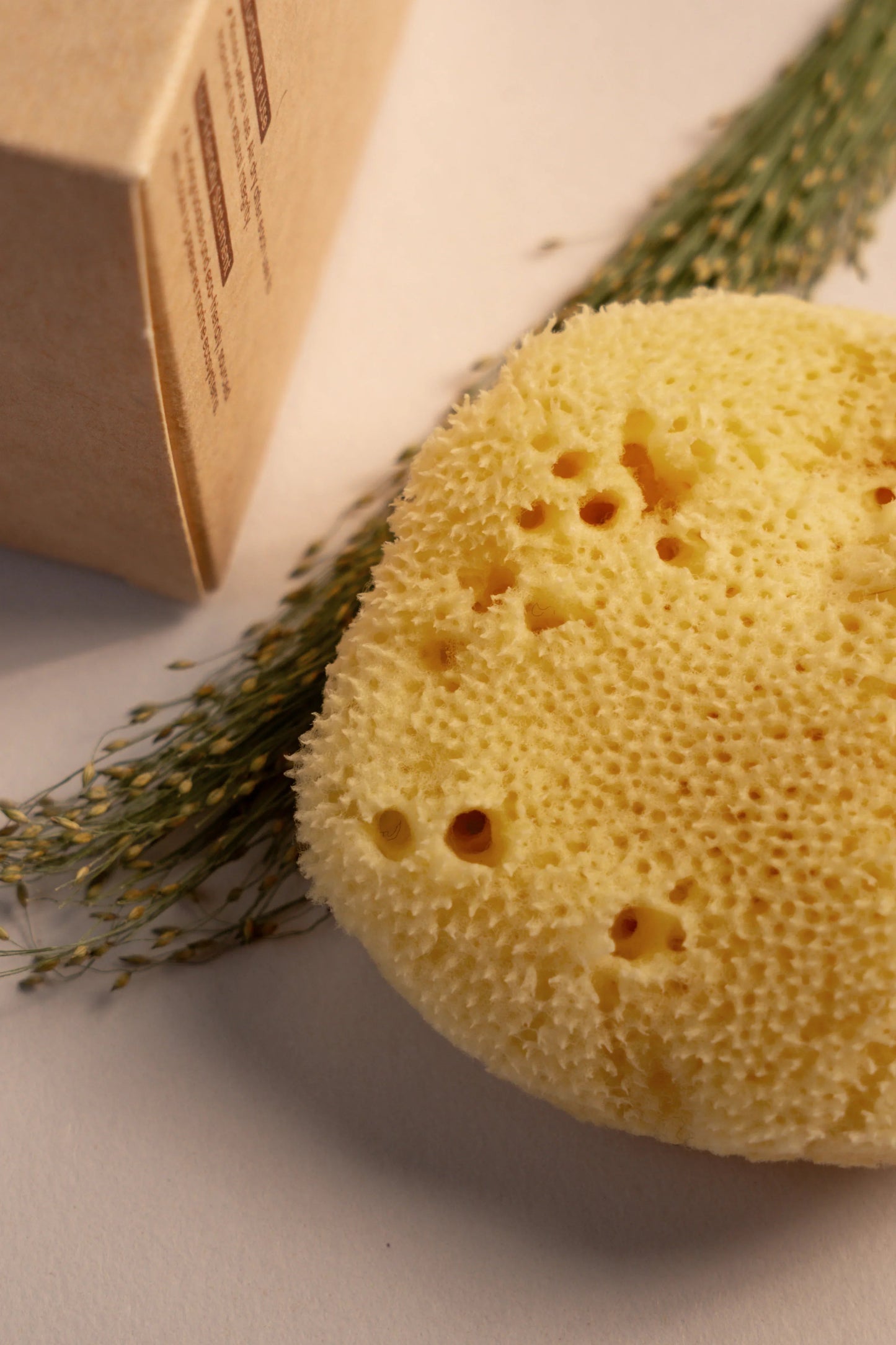 Greek Fine Silk Sea Sponge
