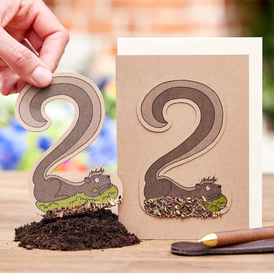 Geburtstagskarte "Zwei"