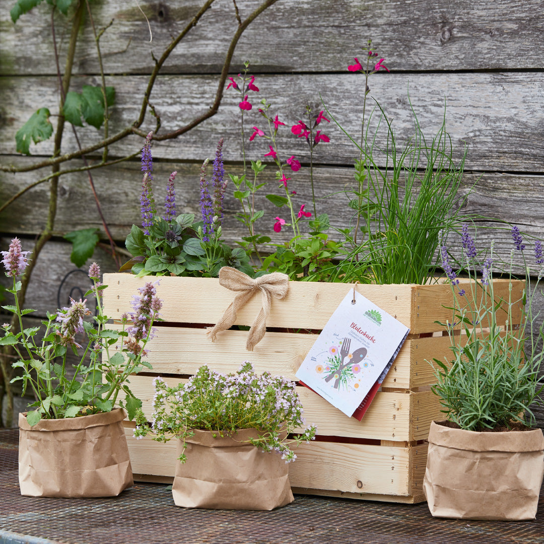 Kräuterkiste "Blütenküche"