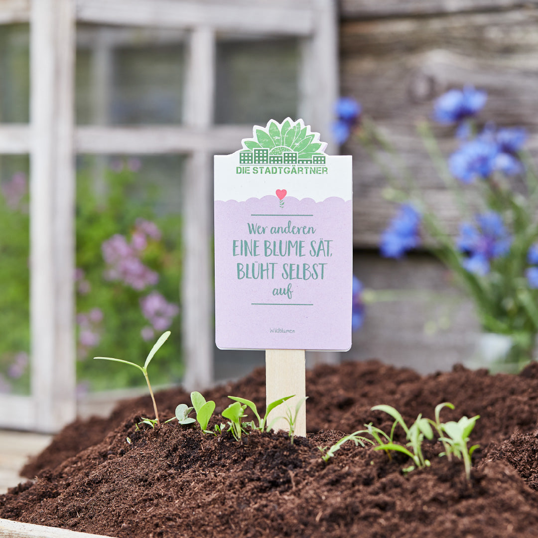 Saatgruß "Wer anderen eine Blume sät"