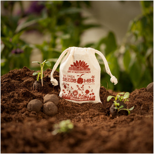 Bienenschmaus-Samenbomben