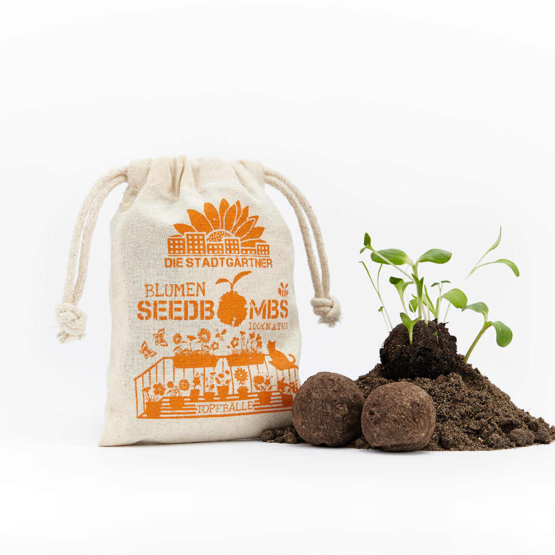 Samenbomben – Topfbälle