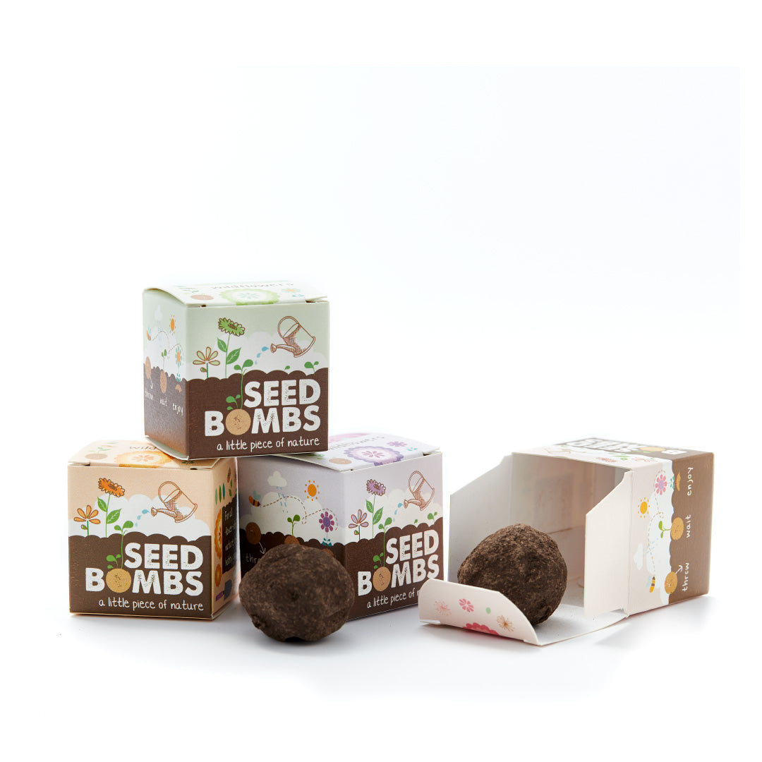 Wildblumen im Würfel – Saatkugel