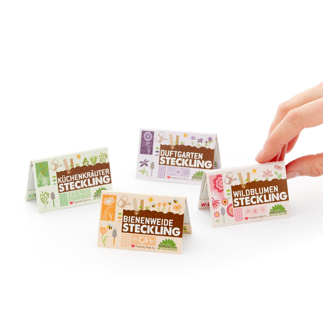 Saatgut-Stecklinge – Alle 4 Sorten