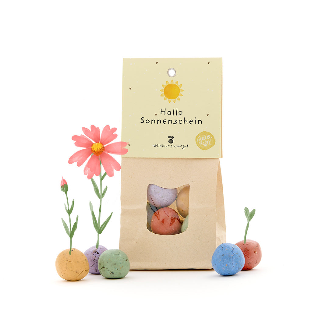 Hallo Sonnenschein - Bunte Blumenmurmeln