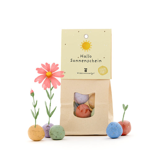 Hallo Sonnenschein - Bunte Blumenmurmeln