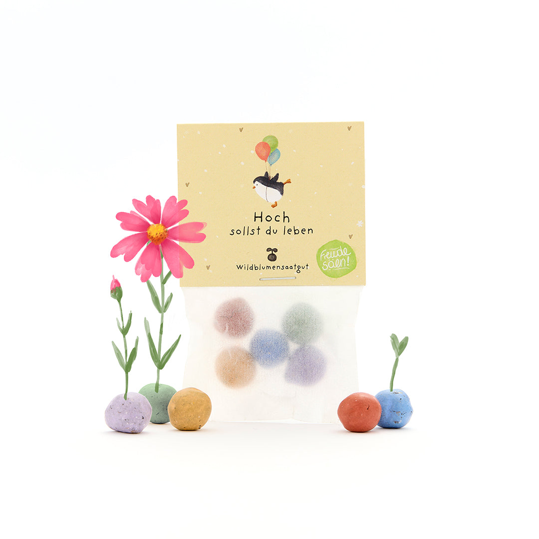 5 Blumenmurmeln im Tütchen "Hoch sollst du leben"