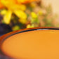 Ringelblumencreme BIO