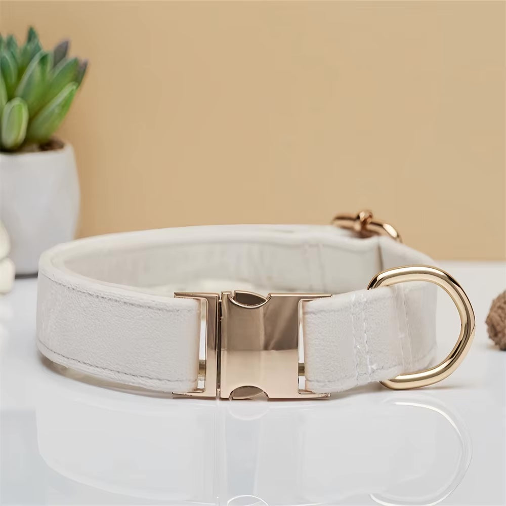 Personalisiertes Samt Hundehalsband "Emilia" mit Gravur – Verstellbar & Elegant