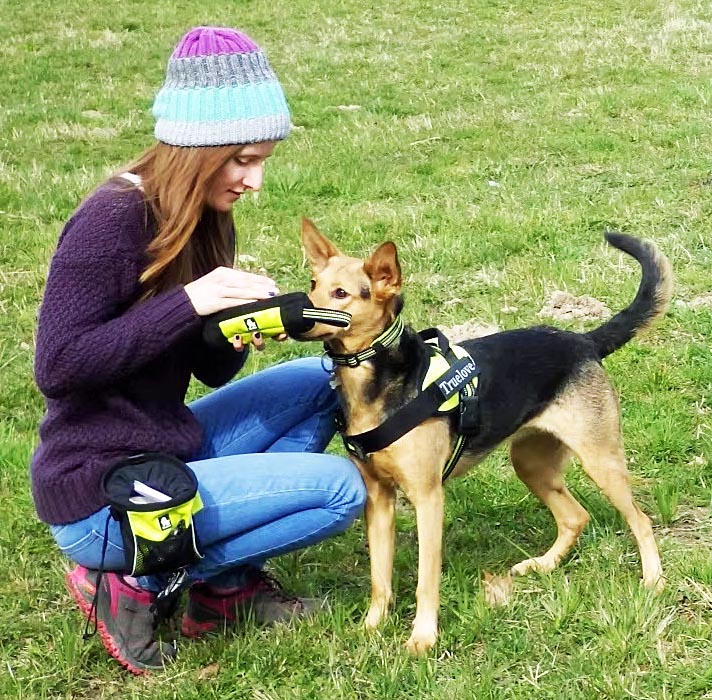 Truelove Leckerli-Beutel Snack Dummy Neongelb – S do XL, Reißverschluss, robustan