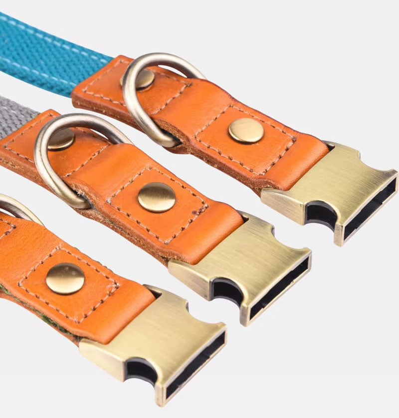 Hundehalsband "Valdo" mit Gravur – robustes PE-Gewebe & Leder – Messing matt – Marineblau, Hellblau oder Grün (S–L)
