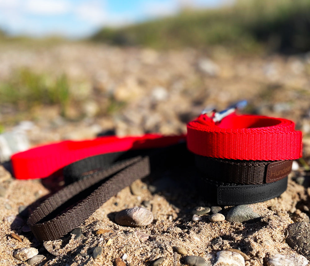 Hundeleine UM'S ECK (1,50 m) aus BioThane®/POP - Band