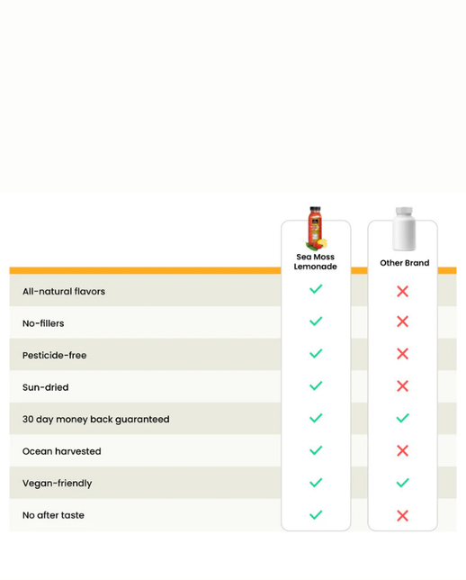 Sea Moss Lemonade - 12 oz