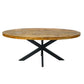 Esstisch - oval 190x100cm - Esszimmer Tisch - Liverpool - Mangoholz massiv